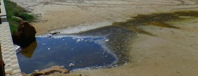 MareAmico Agrigento denuncia presunto inquinamento a Lido Rossello