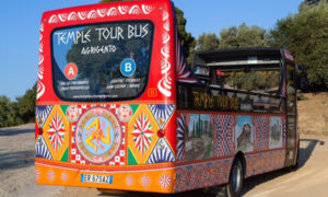 bus_valle