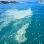 Allarme Goletta Verde: in due punti a Sciacca e Licata mare inquinato