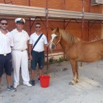 Porto Empedocle: sequestrato cavallo in spiaggia