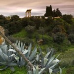 “Musica e sapori di Sicilia al tramonto” al giardino della Kolymbethra