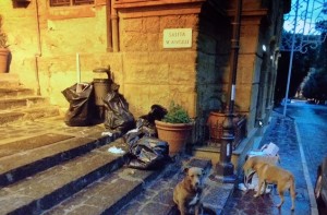 via atenea con cani