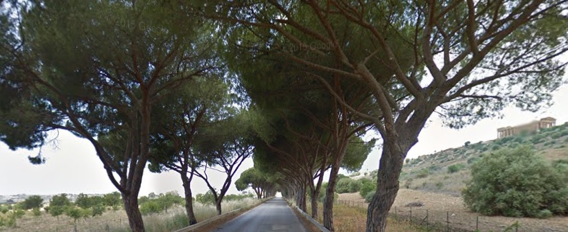 Viale alberato Agrigento