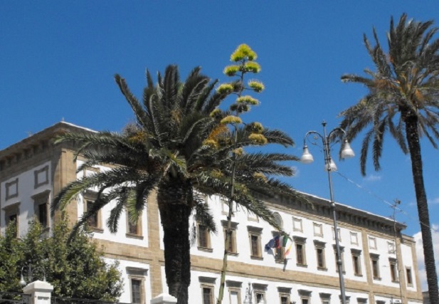 Natale Sciacca.Sciacca Gli Auguri Di Buon Natale In Un Video Scrivolibero It