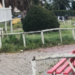 Porto Empedocle, degrado al “Mini-Zoo Ecologico” del Villaggio Bellavista