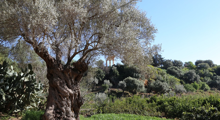 Giardino della Kolymbethra