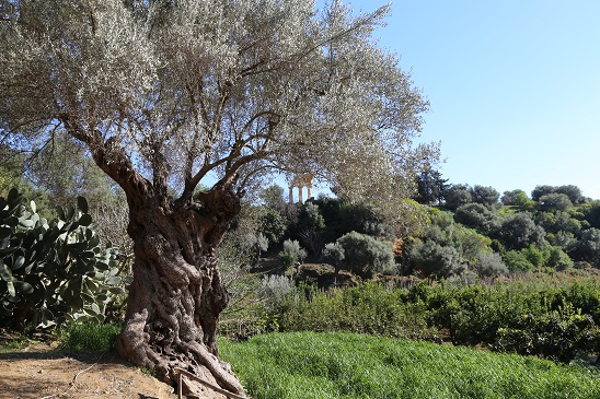 Giardino della Kolymbethra