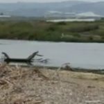 Fiume Naro “degradato”: la denuncia di MareAmico – VIDEO