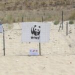 Menfi, il WWF chiede di gestire un bene confiscato alla mafia