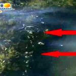 Strani fenomeni nel mare di Maddalusa, MareAmico: “bolle di gas dalla sabbia” – VIDEO