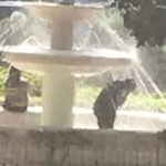 Agrigento, “bagno” nella fontana “Maggiotto”: brutti scherzi del caldo torrido