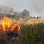 Agrigento, incendi nella zona del parco archeologico: interventi dei Vigili del Fuoco e della Forestale