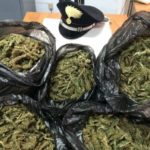 Convalidati domiciliari per zio e nipote dell’agrigentino trovati in possesso di 20kg di marijuana