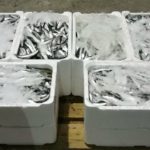 Sciacca, pesce scongelato venduto per fresco: sequestro e sanzione