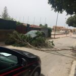 Agrigento, forti raffiche di vento: alberi spezzati sulle auto – FOTO