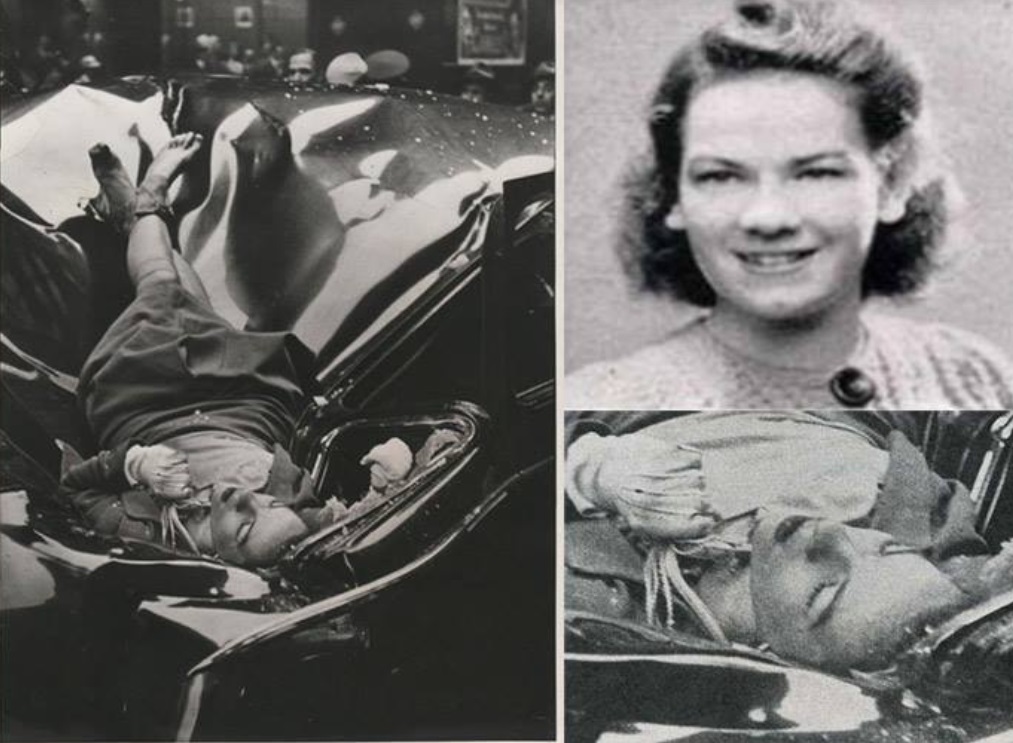 curiosità il suicidio più bello del mondo la storia di evelyn