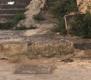 serprente-centro-storico