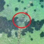 Rotta la condotta sottomarina di Siculiana, Mareamico: “fogne nel mare” – VIDEO