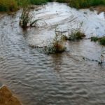 Agrigento, Mareamico: “appena piove la fogna finisce in mare” – VIDEO