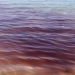 San Leone, “macchia rossa in mare”: allertati gli Organi competenti