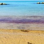 Mare “rosso” a Maddalusa: nessun allarme, piccole meduse
