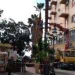 Agrigento, continua l’opera di decoro urbano: al via la potatura di alberi e palme