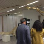 Buona presenza di pubblico alla mostra Akrasauro di Agrigento