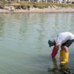 Libero Consorzio di Agrigento: finanziato il progetto per riqualificare la foce dell’Akragas