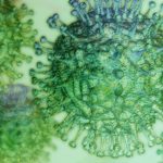 Coronavirus, crescono i casi nell’agrigentino: ecco dove