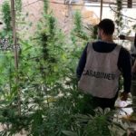 Una greenhouse “stupefacente” fra i tetti di Favara: in manette presunto spacciatore