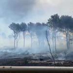 Incendio al bosco Magaggiaro, sindaco di Montevago: grave ferita per il territorio, taglia a chi segnala i piromani