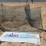 A Punta Grande il “Miracolo si ripete”: Caretta Caretta depone le uova