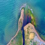 Acque di vegetazione nel mare agrigentino, Mareamico: “fermateli” – VIDEO