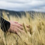 “Agricoltura, etica ed ambiente”: esperti a confronto ad Agrigento