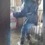 Licata, torture a disabili: giovani davanti al Gip, via agli interrogatori