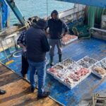 Licata, controllo sulla filiera ittica: sequestrato oltre 350 kg di prodotto ittico