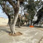 Licata, nella villa comunale “Regina Elena” nasce il Parco Giochi inclusivo