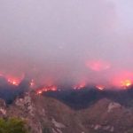 Caso incendi, Rosalba Cimino (M5s) annuncia due milioni di euro per la Sicilia