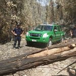 Incendi, in Sicilia 25 carabinieri forestali da tutta Italia a supporto delle forze già in campo