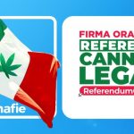È partita a Licata la raccolta firme per il Referendum per la Cannabis Legale