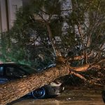 Favara, il forte vento sradica un albero in pieno centro: danneggiata auto