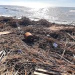 San Leone, spiagge colme di rifiuti. Mareamico: “puliamole prima di Natale” – VIDEO