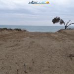 San Leone, spianate dune: identificati i presunti responsabili, scatta la denuncia