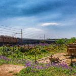 Torna il treno storico sulla Ferrovia dei Templi per le giornate FAI di primavera