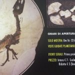 Agrigento, dal 4 Maggio la mostra Akrasauro