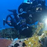 Identificato a 85 metri di profondità nei fondali dell’Isola di Linosa un aereo della II Guerra Mondiale