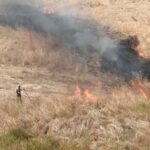 Incendio nelle campagne agrigentine: divorati quindici ettari di terreno