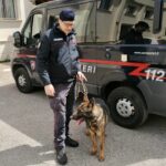 Licata, controlli serrati da parte dei Carabinieri: sequestrate dosi di marijuana, hashish e cocaina
