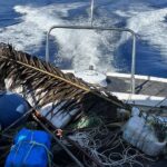 Lampedusa, la Guardia Costiera interviene sulla pesca illegale: sequestrati attrezzi non consentiti