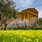 5 febbraio, prima domenica del mese tra i mandorli fioriti: ingresso gratuito alla Valle dei Templi e al Museo Griffo